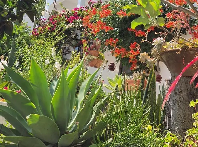 빌라 Marrachinho 알부페이라